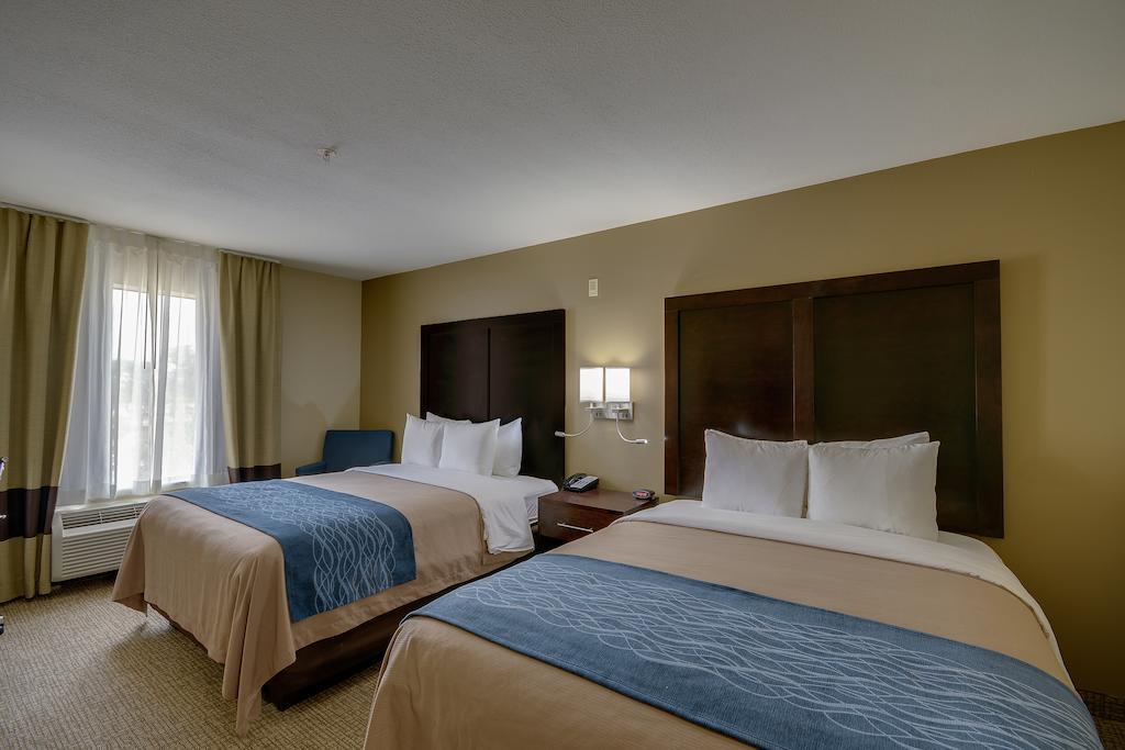 Comfort Inn & Suites Fm1960-Champions Houston Zewnętrze zdjęcie